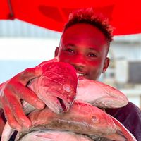 ibrahimasoumbedioune00