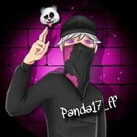 panda17_ff