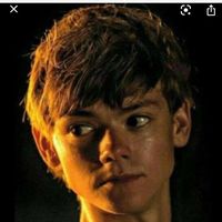 fan_newt_labyrinthe