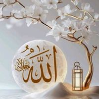 samaouni4