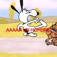 Vuelve baji porfavor