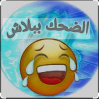 zm___07