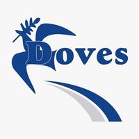 doves.holdings