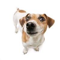 original sound - Allien