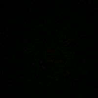 sofianicola38gmail.com