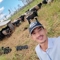 17renatosilva