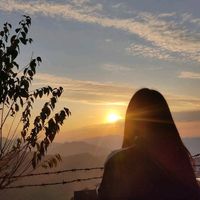 andrea.dya