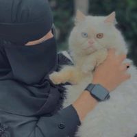 catoobili11