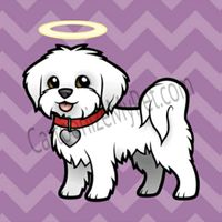 rossi.catelusa.fericita