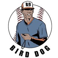 birddogbaseball