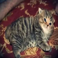 original sound - emlyy201