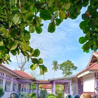 suara asli - 💐🌈