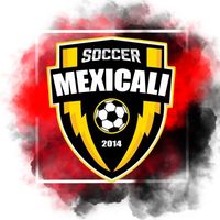 mexicalisoccer201