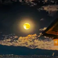 original sound - sham...121212