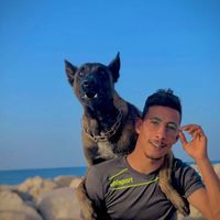 boyka_seiff