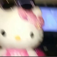 pr3ttyfacee_kitty