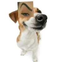 original sound - wtfmus1cc