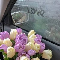 aamoula956