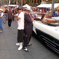 elchologarnica13