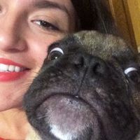 gifbony