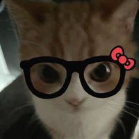 name_dog4
