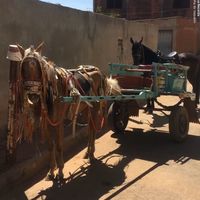 carrocasecharretes