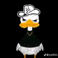 irvin.prz8