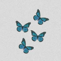 original sound - solo_frases.01