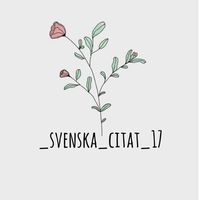 _svenska_citat_17