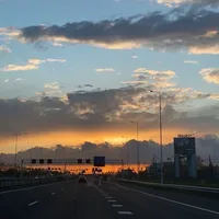 original sound - salmamo814