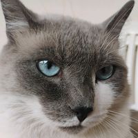 izaneves23