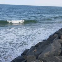 isabelly_20231254