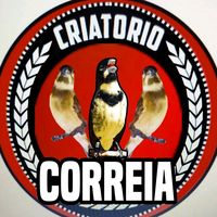 criatorio.correia1