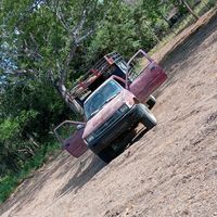 .camiones_ganaderos_507