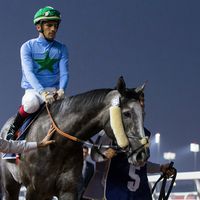 khaledaziz38