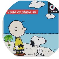 todoesplayasv