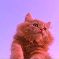 aestheticgirl4422