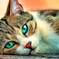 original sound - diimaa85