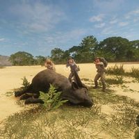 oneshot_cowt