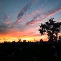 πρωτότυπος ήχος