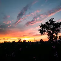 original sound - olilines