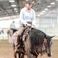 beinperformancehorses