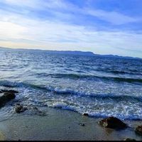 alejandrogarci6236