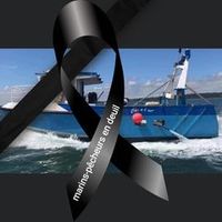 loiseaudenuitdelamanche