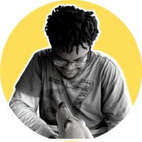 som original - onarutovisky