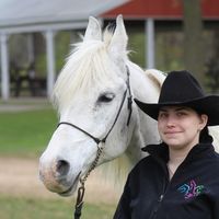 bitsbridlesreins