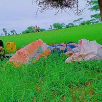 الصوت الأصلي