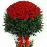 aaminazahra780