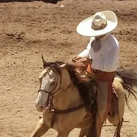 original sound - fer_charro