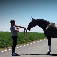 angel_vargas_vazquez